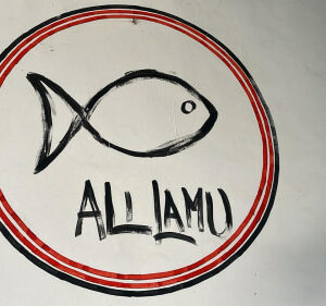 Ali mohamed